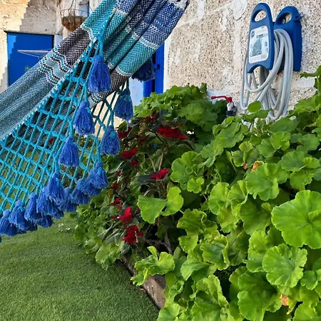 Markethome Plataneras 2