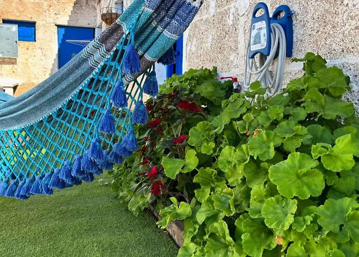 Markethome Plataneras 2